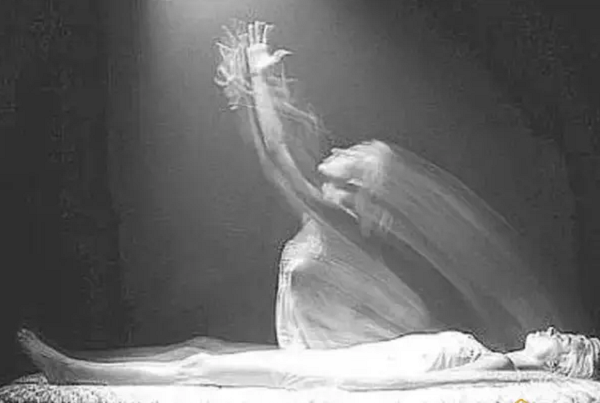 Tiến sĩ MacDougall đã tiến hành các thí nghiệm tương tự trên 15 con chó. Các thí nghiệm cho thấy không có sự thay đổi trong trọng lượng sau khi chúng chết đi. MacDougall kết luận rằng, điều này có thể biểu hiện rằng chỉ có con người có linh hồn.