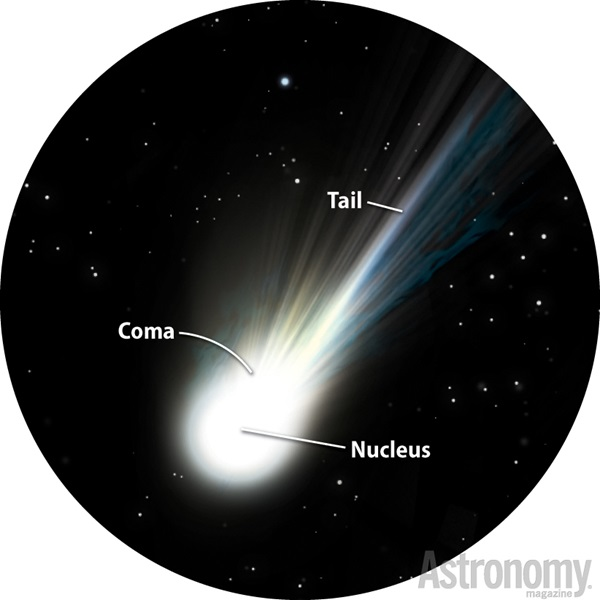 Nó quay quanh vành đai tiểu hành tinh, nhưng nó có đuôi bụi giống sao chổi. Bởi vì nó là vật thể duy nhất được biết đến với cả hai đặc tính, các nhà thiên văn hy vọng sẽ giải quyết cuộc tranh luận một lần và mãi mãi bằng cách phóng tàu vũ trụ Castalia vào năm 2028.