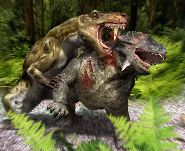 Chúng khá nhanh nhẹn không giống như những kẻ săn mồi đi trước chúng. Mặc dù có vẻ ngoài giống bò sát, nhưng thực tế gorgonopsid có quan hệ họ hàng gần với động vật có vú và thậm chí có khả năng chúng được bao phủ bởi bộ lông.