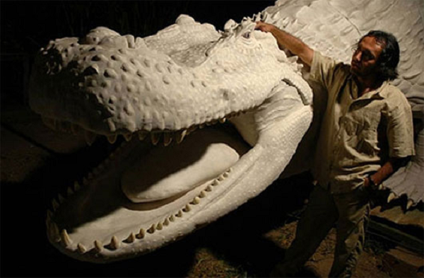 Cá sấu Purussaurus sở hữu bộ hàm vừa to vừa khỏe, với lực cắn thực sự khủng khiếp, lên tới 69.000 N (tương đương với 7 tấn). Purussaurus là kẻ săn mồi hàng đầu ở vùng biển với chiều dài lên đến 12-15m. Đây là một trong những con cá sấu lớn nhất từng tồn tại.