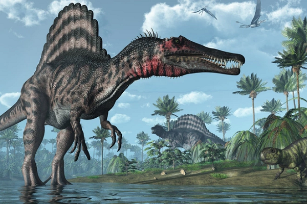 Spinosaurus được tuyên bố là loài khủng long ăn thịt lớn nhất mọi thời đại. Loài beastie này có thể dài tới 17 hoặc 18m nặng tới 10 tấn và có một cánh buồm trên lưng cao hơn cả một người đàn ông trưởng thành.