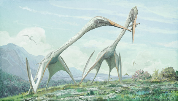 Azhdarchids là một loại pterosaur bao gồm những sinh vật bay lớn nhất từng tồn tại. Một số trong số chúng có sải cánh từ 12 đến 15m, khiến chúng lớn như một chiếc máy bay thu nhỏ (mặc dù rõ ràng chúng không nặng bằng).