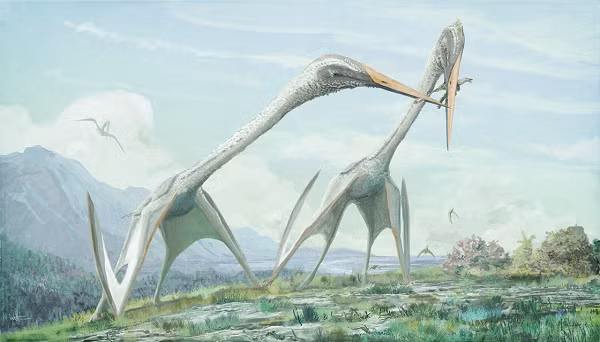 Azhdarchids là một loại pterosaur bao gồm những sinh vật bay lớn nhất từng tồn tại. Một số trong số chúng có sải cánh từ 12 đến 15m, khiến chúng lớn như một chiếc máy bay thu nhỏ (mặc dù rõ ràng chúng không nặng bằng).