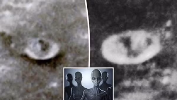 Sinh vật bị thương nhảy qua hàng rào vào căn cứ McGuire trước khi chạy xuống đường lớn. Nhưng sau đó, nó đã đổ gục xuống đất và chết. Sau khi đến gần, viên cảnh sát đã tìm thấy "một cơ thể với tư thế co quắp như hình bào thai đã tắt thở".