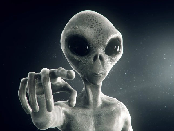 Cũng theo nhân chứng này, anh đã chứng kiến cơ quan chức năng phun thứ gì đó lên xác sinh vật lạ kể trên rồi bọc lại bằng tấm vải trắng.