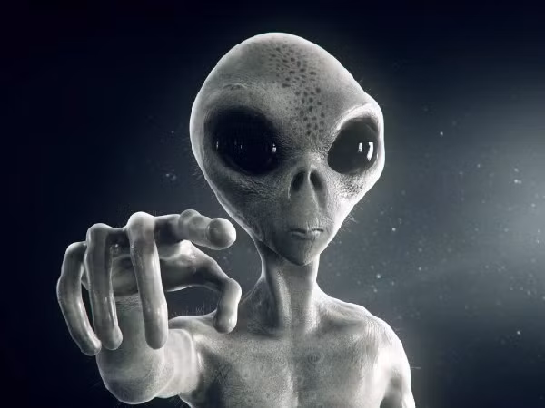 Cũng theo nhân chứng này, anh đã chứng kiến cơ quan chức năng phun thứ gì đó lên xác sinh vật lạ kể trên rồi bọc lại bằng tấm vải trắng.