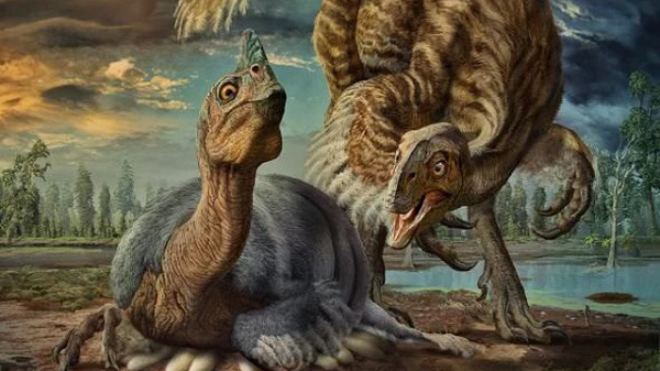 Tỉ lệ thay đổi giải phẫu thích nghi bắt đầu tăng ngày từ đầu kỷ Nhị Điệp (khoảng 294 triệu năm trước), cùng lúc với sự khởi đầu của chuỗi biến đổi khí hậu.