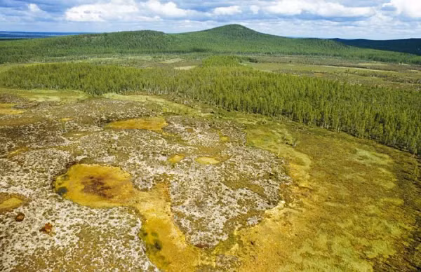 Năm 1908, một quả cầu lửa phát nổ trên sông Tunguska, và các tia lửa ngay lập tức rơi vào rừng, gây ra một đám cháy dữ dội. Ngọn lửa quét sạch 80 triệu cây cối và vô số động vật trên diện tích hơn 1.300km², bầu trời đỏ rực, các thành phố xung quanh cũng bị ảnh hưởng, toàn cảnh kinh hoàng như vụ phun trào của núi lửa La Mã Pompeii.