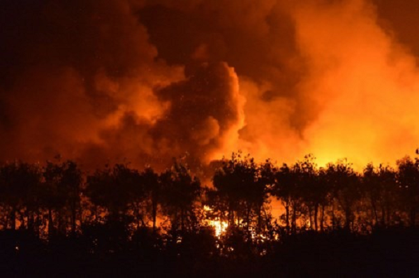 Ước tính 20.000 người đã bỏ mạng trong vụ nổ, bao gồm con trai duy nhất của hoàng đế Minh Hy Tông là Thái tử Chu Từ Quế. Theo ghi chép thời bấy giờ, vụ nổ có thể do tia lửa bén vào thùng chứa thuốc súng hoặc bình chứa chất dễ cháy. Nhưng vào thời nhà Minh, ngay cả với sự phát triển vượt bậc của công nghệ chế tạo thuốc súng, sức công phá của thuốc nổ cũng không thể lớn đến vậy.