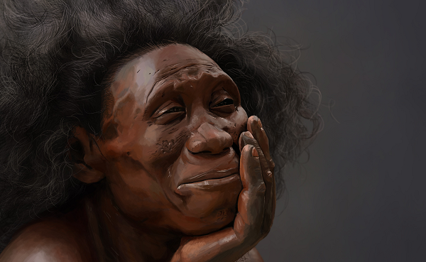 Nghiên cứu mới giúp tạo ra bức tranh hoàn chỉnh hơn về loài vật. Nếu cò Flores không biết bay, xương cánh của chúng sẽ nhỏ hơn và có dấu hiệu cho thấy bộ phận đó không còn được dùng để bay.