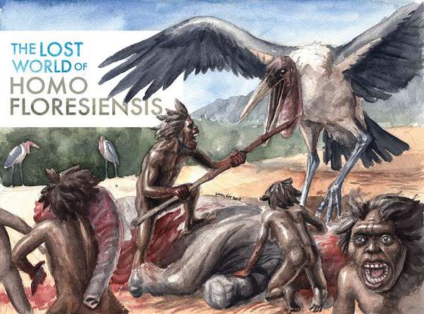 Sự ưa chuộng xác động vật của cò Flores thậm chí có thể giải thích tại sao chúng tuyệt chủng. Quái điểu được tái hiện thông qua rất nhiều bộ xương to lớn, kỳ dị, được tìm thấy ở nhiều vùng thuộc Đông Bắc Trung Quốc, đảo Javam đảo Flores của Indonesia.