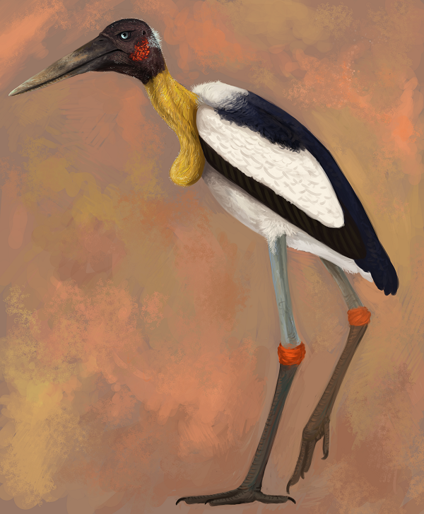 Phát hiện mới thôi thúc các nhà cổ sinh vật học xem xét lại cấu tạo cơ thể và hành vi của L. robustus. Thay vì săn con mồi nhỏ, nghiên cứu của họ chỉ ra chúng có thể là động vật ăn xác thối như nhiều loài cò tiền sử biết bay khác, tương tự cò marabou ở vùng cận Sahara ngày nay.