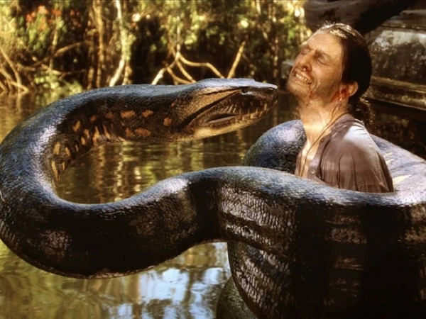 Con mồi ưa thích của chúng là cá sấu Nam Mỹ, các loài rắn khác, dê và thậm chí cả báo Nam Mỹ. Anaconda di chuyển khá chậm nên chúng thường dựa vào khả năng “tàng hình” và các đòn tấn công bất ngờ để bắt được con mồi.