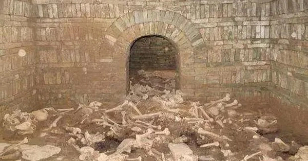 Thói quen hành nghề này đã khiến cho cơ thể của những tay trộm mộ này chịu ảnh hưởng cực kì xấu. Bởi việc đảo lộn thời gian sinh hoạt và làm việc giữa ban ngày và ban đêm như vậy trong 1 quãng thời gian quá dài sẽ dẫn đến những tổn thương lớn cho cơ thể.