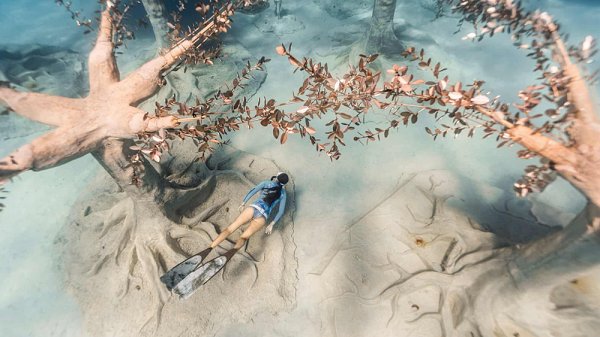 Ông Gil Rilov, nhà sinh vật học biển tại Viện nghiên cứu địa chất và hải dương học của Israel đồng thời là một trong những đồng tác giả của bài báo cho biết nhiệt độ nước biển trung bình vào mùa hè luôn ổn định ở 31 độ C. Tuy nhiên những vùng biển ấm lên sẽ khiến các sinh vật biển gặp nguy hiểm