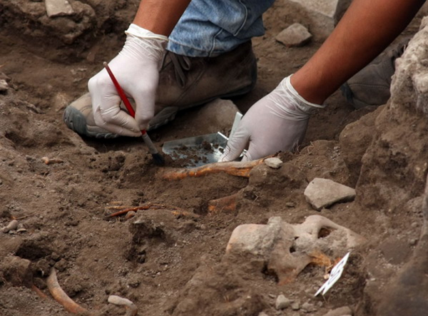 Đất được phân ra làm ba loại: Đất chín, đất sống (hay còn gọi là đất hoa) và đất chết. Đất chết là loại đất thô tự nhiên chưa từng bị xáo trộn nên cấu trúc chắc chắn ổn định, màu sắc đồng nhất; đất sống lại là đất đã bị đào trộn bởi con người nên kết cấu lỏng hơn còn đất chín là thứ đất được hấp chín hoặc xào qua lửa để tránh có dại mọc.