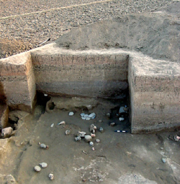 Sau đó, sau quá trình kiểm tra DNA nghiêm ngặt của các chuyên gia, người ta nhận thấy 14 bộ hài cốt có quan hệ họ hàng mật thiết với nhau.