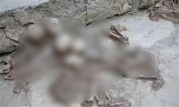 Đội khảo cổ nhanh chóng tới hiện trường và tiến hành khai quật. Khi địa điểm này được mở từng cái một, người ta phát hiện ra đây là di chỉ Lajia đã biến mất trong trận động đất 4000 năm trước.