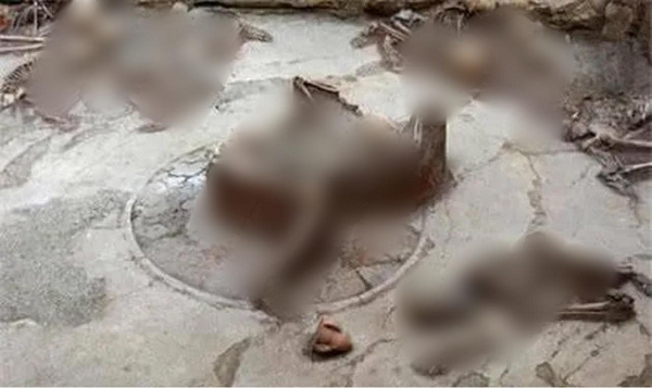 Ngược lại lịch sử, vào hơn 4000 năm trước, tỉnh Thanh Hải từng trải qua một trận động đất kinh hoàng, không hề báo trước lúc đó đột nhiên vang lên một âm thanh chói tai, trời đất lập tức đổi màu, kéo theo đó là sạt lở đất nứt nẻ đổ sập.