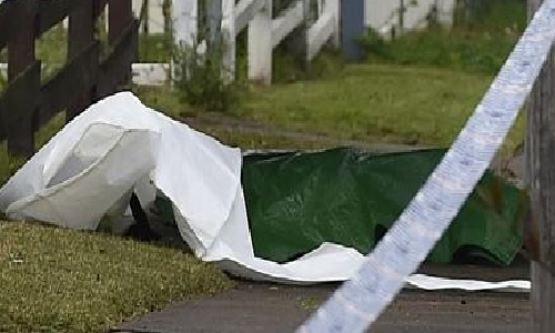 Hình ảnh chỉ mang tính chất minh họa.