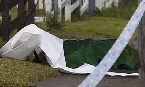 Hình ảnh chỉ mang tính chất minh họa.