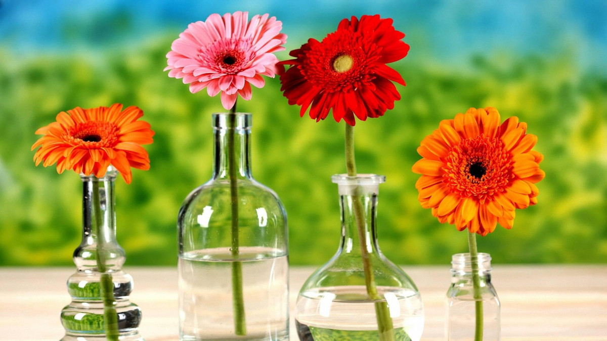  Tháng 2 Âm lịch. Những đứa trẻ sinh vào tháng 2 Âm lịch tính cách đặc biệt giản dị và tốt bụng. 