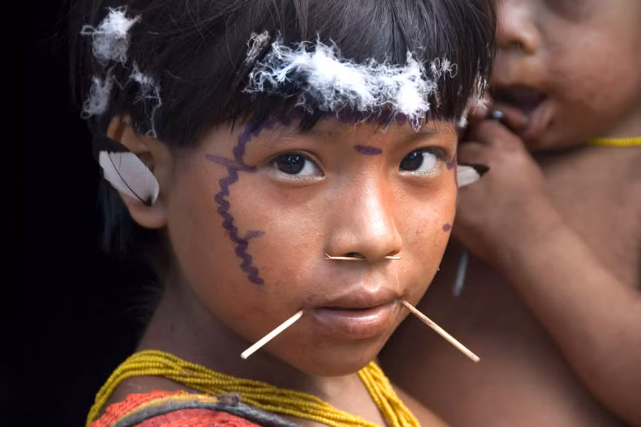 Bộ tộc Yanomami là thổ dân da đỏ bản địa ở vùng rừng rậm Amazon nằm ở biên giới giữa Venezuela và Brasil với dân số chừng 20.000 người. Họ sống trong hàng trăm ngôi làng và tạo thành nhóm bộ lạc lớn nhất trong rừng Amazon.