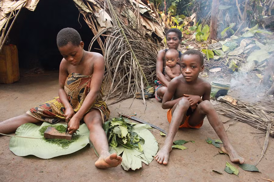 Người Pygmy là tộc người nhỏ bé nhất thế giới, với chiều cao từ 1,2 - 1,4m, cân nặng không quá 50kg. Có rất nhiều nhóm người Pygmy, nằm rải rác trên khu vực rộng lớn ở miền Trung và Tây Phi, nhưng tập trung nhiều ở thảm rừng nhiệt đới Congo. Với kích thước cơ thể nhỏ bé, họ được xem như những người lùn của rừng rậm. 