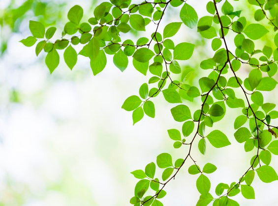 Không biết trước đó khó khăn vất vả ra sao, chỉ cần bước sang tháng 9 thì vận khí của những người sinh vào tháng Âm lịch dưới đây sẽ vượng phát. Không chỉ cơ hội sẽ gõ cửa mà cả Thần Tài lẫn quý nhân cũng sẽ đồng hành với những người này trong thời gian tới. Hãy xem có bạn trong số đó không nhé!