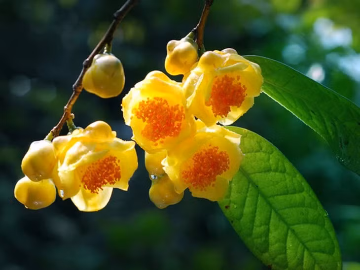 Những người này chỉ cần chăm chỉ, kiên nhẫn thì cuộc sống càng về cuối năm càng được cải thiện, tài vận hanh thông, sự nghiệp phát triển, thành công đến liên tục.