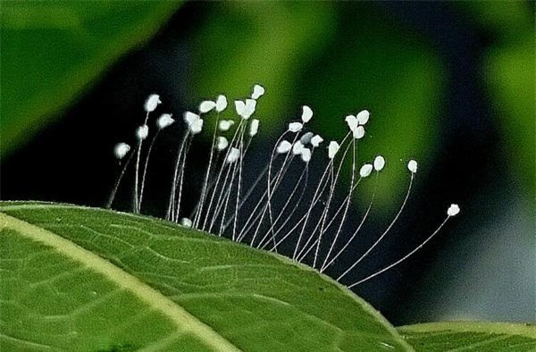 Hơn nữa, những người này luôn không ngừng nỗ lực đổi mới bản thân, trau dồi thêm cho mình những kiến thức mới nên dù có gặp hoàn cảnh khó khăn đến đâu họ vẫn có thể tìm được cách thoát ra. Cũng nhờ biết tích lũy kinh nghiệm cho bản thân mà những người này thường có thể xây dựng được sự nghiệp ổn định, vững chắc khi đến tuổi trung niên.