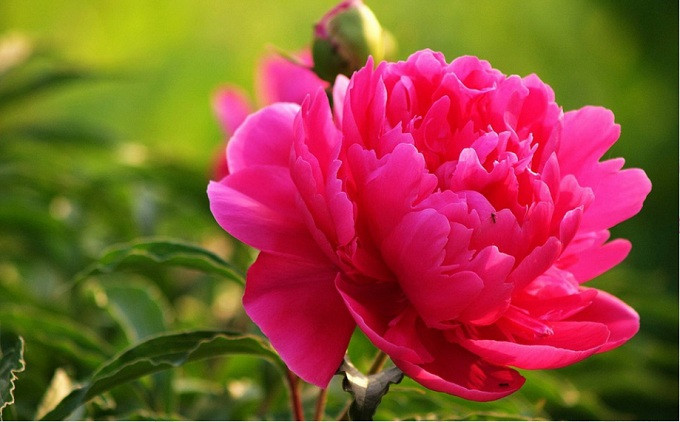 Bước vào tháng 9, tử vi học nói rằng cuộc sống của những người này sẽ thuận lợi và suôn sẻ hơn rất nhiều. Không chỉ được quý nhân phù trợ, giúp đỡ tai qua nạn khỏi mà Thần Tài còn ghé cửa, mang rất nhiều cơ hội đến cho họ để làm giàu.