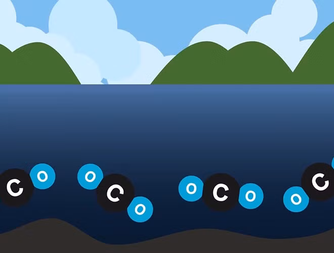 Sau đó, các giải pháp công nghệ như lắp ống khử khí được chính quyền địa phương đặt vào lòng hồ để ngăn chặn những vụ việc tương tự xảy ra trong tương lai. Dù vậy, cũng không giúp Nyos tránh khỏi danh sách những địa điểm rùng mình bậc nhất thế giới.