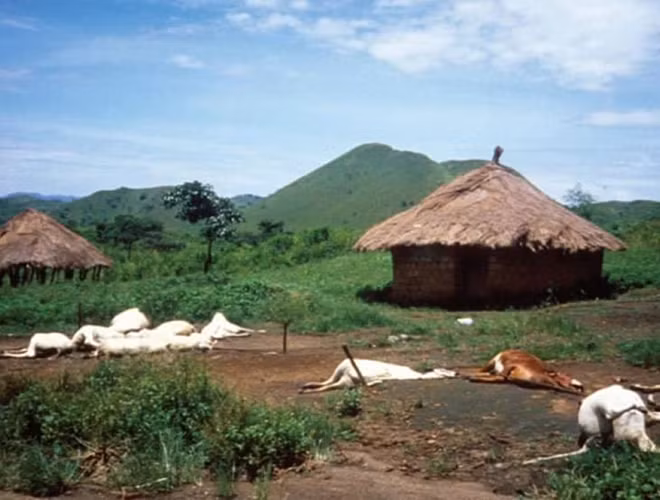 Tuy nhiên, điều tệ nhất là trận sương mù bí ẩn bất ngờ bao phủ một khu vực dân cư gần hồ Nyos, nó đã cướp đi mạng sống của gần 2.000 người và 8.000 gia súc chỉ trong một đêm