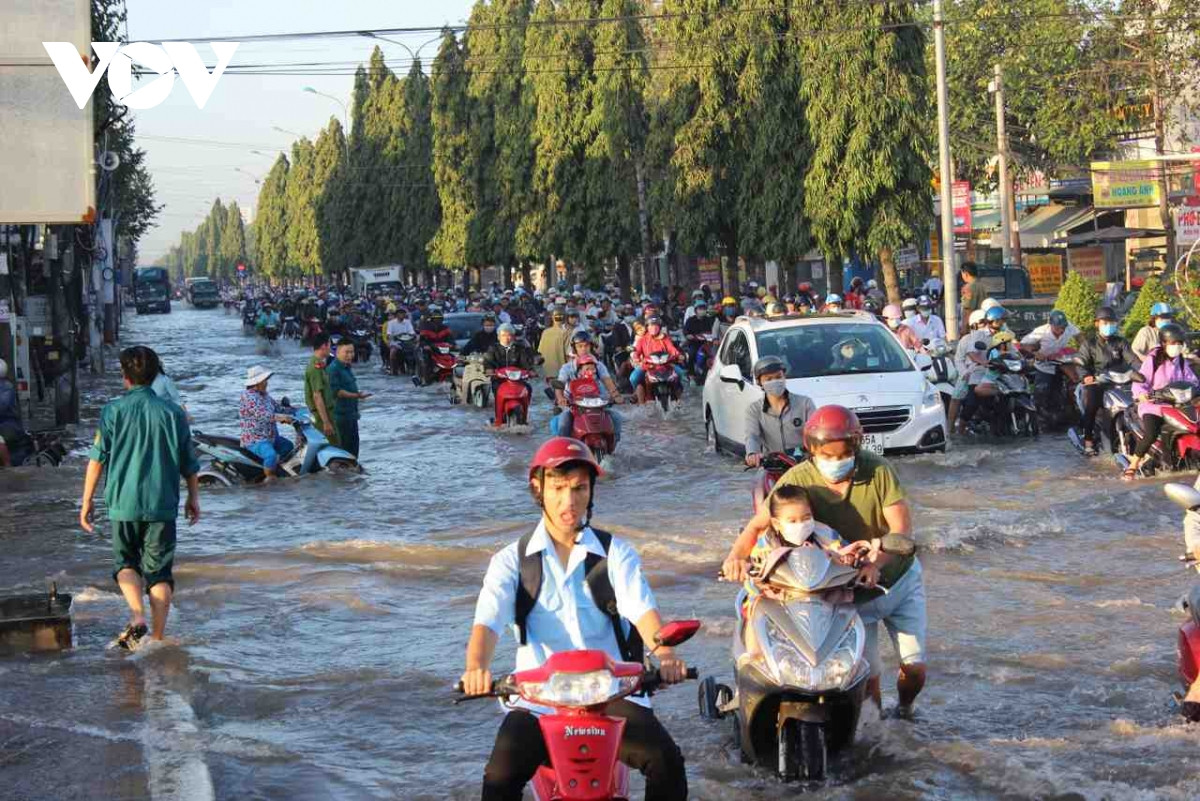 Ban Chỉ huy Phòng, chống thiên tai và Tìm kiếm cứu nạn thành phố Cần Thơ cho biết, sáng nay đỉnh triều cao nhất đo được tại Trạm Cần Thơ trên sông Hậu là 2,14m, vượt mức báo động III là 14 cm, khiến nhiều tuyến đường trên địa bàn thành phố bị ngập, có những tuyến đường nước ngập sâukhiến giao thông đi lại khó khăn.
