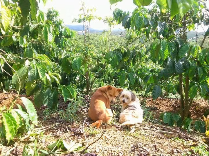 Bị bắt quả tang.