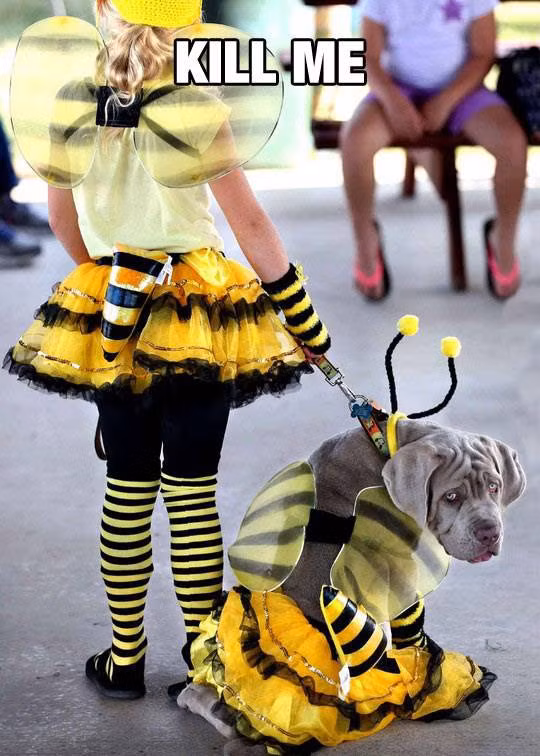 Tông xuyệt tông.