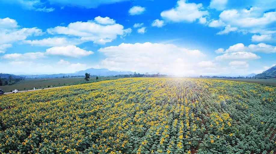 Trang trai TH true MILK dat ky luc lon nhat chau A-Hinh-2