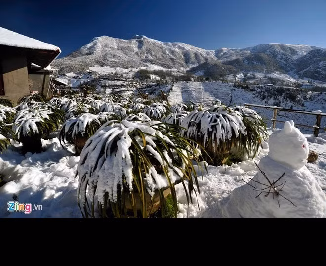  Mùa đông lạnh buốt ở Mẫu Sơn: Mẫu Sơn là một địa danh nổi tiếng thuộc hai huyện Lộc Bình và Cao Lộc của tỉnh Lạng Sơn. Đây được coi là vùng đất có khí hậu lạnh nhất nước ta. Vào mùa đông, nhiệt độ một số điểm của Mẫu Sơn xuống đến âm độ C, thường xuyên có tuyết, cây cối đóng băng, phủ một lớp tuyết dầy. Không khí lạnh không chỉ ảnh hưởng đến động thực vật mà còn cản trở sinh hoạt, đời sống của người dân. Ảnh: Mạnh Thắng.