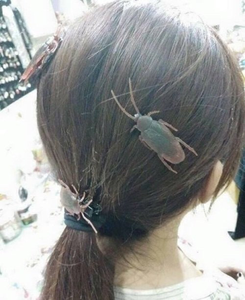 Hiện nay, kẹp tóc hình con gián đang rất được lòng người tiêu dùng. Với không khí lễ hội hóa trang Halloween sắp tới, rất nhiều sản phẩm độc lạ cùng trào lưu quái dị sẽ được tung ra và dự đoán sẽ lan rộng khắp thế giới.