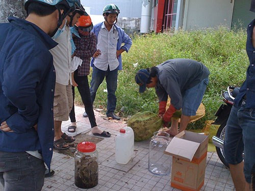 Người đi đường hiếu kỳ đứng bu quanh coi người thanh niên thực hiện thao tác “sơ chế” tổ ong ngâm rượu.