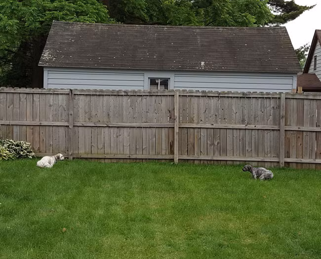 Chuẩn bị cho cuộc chiến?