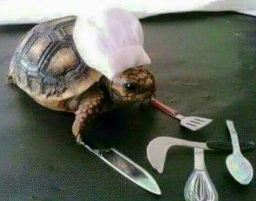 Vua đầu bếp Rùa.