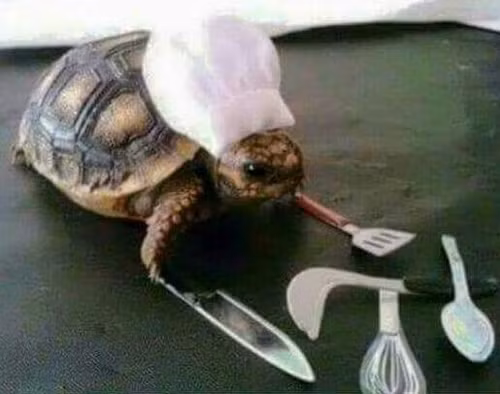 Vua đầu bếp Rùa.