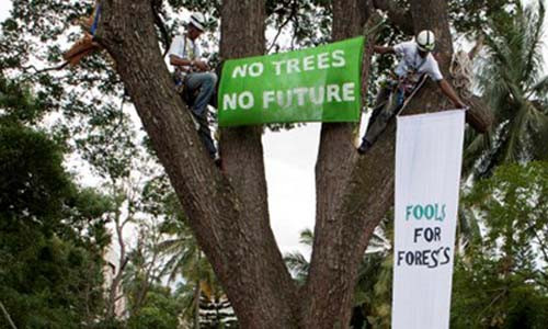 Gay can chuyen chat cay tren the gioi