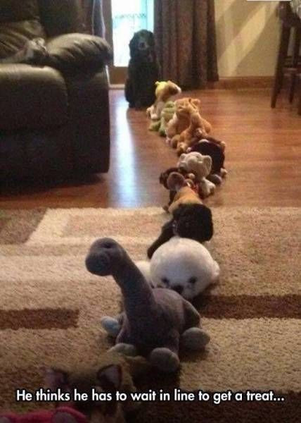 Cũng phải xếp hàng.