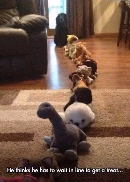 Cũng phải xếp hàng.