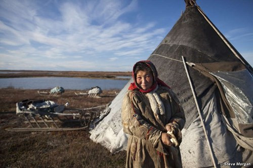 Phần lớn họ sống ở khu tự trị Nenets và Yamal. Ảnh: Steve Morgan.