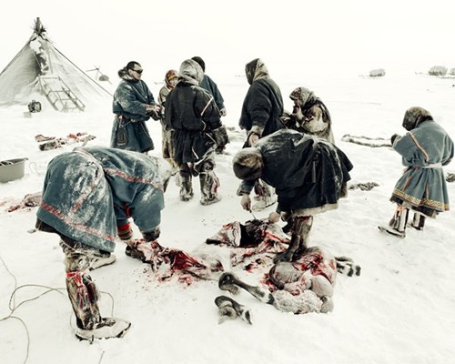 Họ sống chủ yếu bằng công việc đánh cá, nuôi tuần lộc, săn thú. Ảnh: nord-espaces.com.