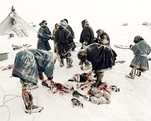 Họ sống chủ yếu bằng công việc đánh cá, nuôi tuần lộc, săn thú. Ảnh: nord-espaces.com.